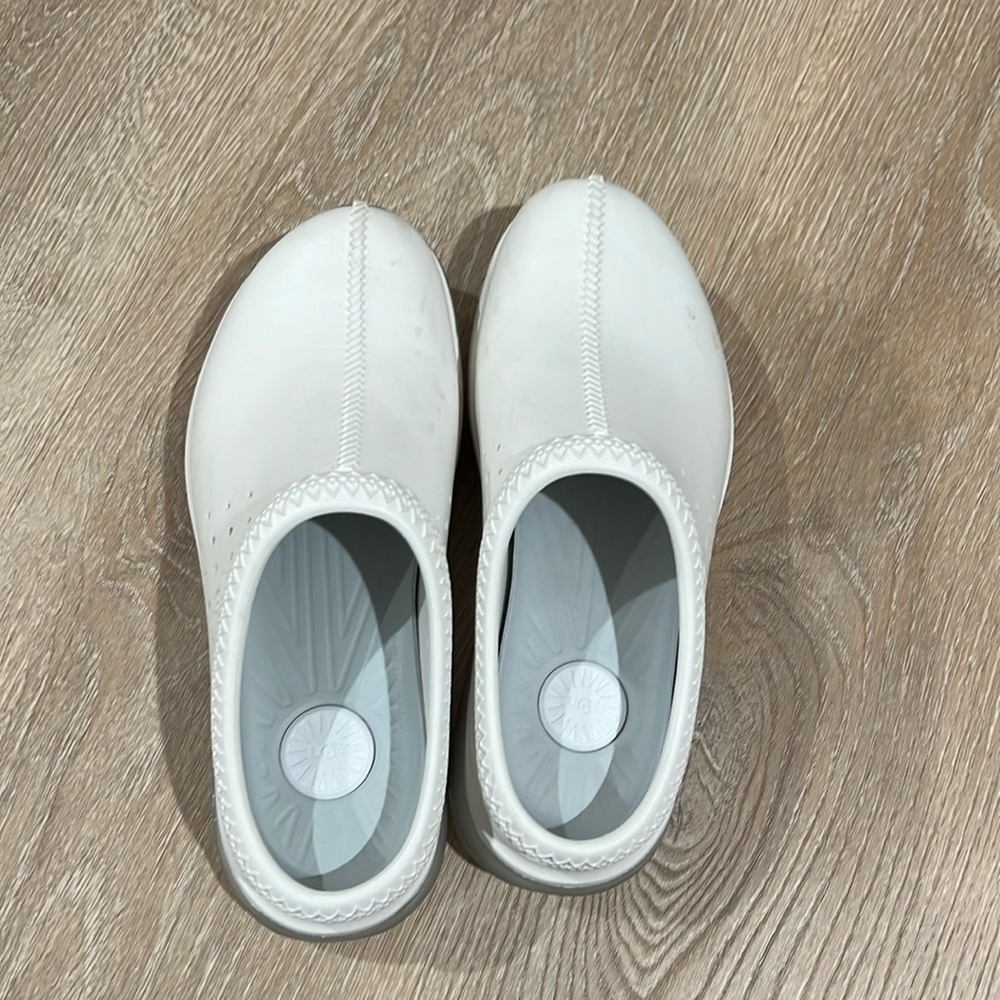 Tasman Ugg shoes
